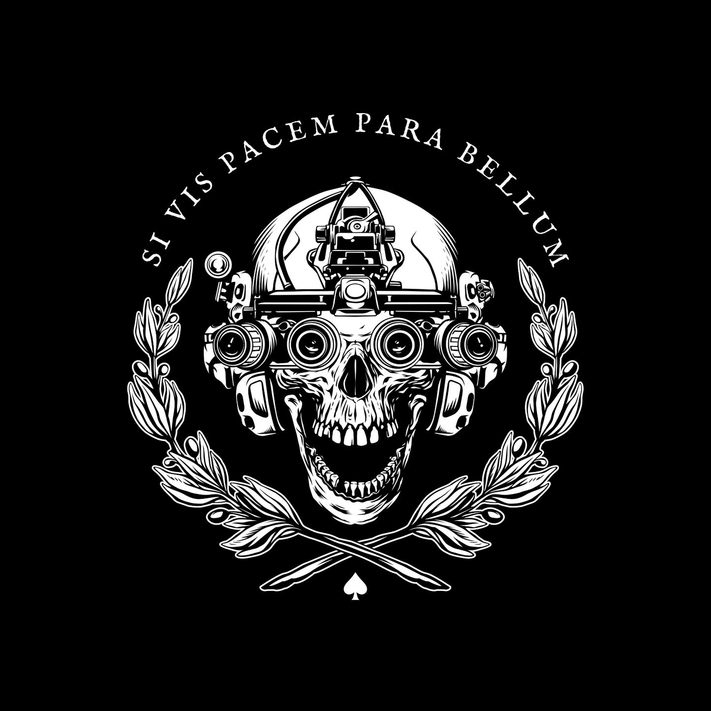 SI VIS PACEM PARA BELLUM